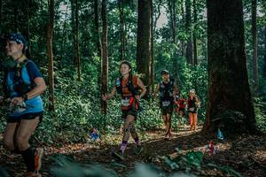 BIB: 
                            <button type="button" onclick="openModal(26133409)" class="btn btn-primary btn-sm float-right btn-popup" data-toggle="modal" data-target=".modal-high-quality">
                        <i class="fas fa-shopping-cart"></i> Add to Cart
                    </button>
                                            <button type="button" onclick="isThisMe(26133409, true)" class="btn btn-success btn-sm float-right btn-popup btn-isme hidden" data-toggle="tooltip" data-placement="bottom" title="นี่คือรูปของคุณใช่ไหม คลิกที่นี่เพื่อเอาเข้าอัลบั้ม">
                        <i class="fas fa-plus"></i> Add to album
                    </button>
                    <button type="button" onclick="isThisMe(26133409, false)" class="btn btn-warning btn-sm float-right btn-popup btn-isnotme hidden">
                        <i class="fas fa-ban"></i> Remove from album
                    </button>